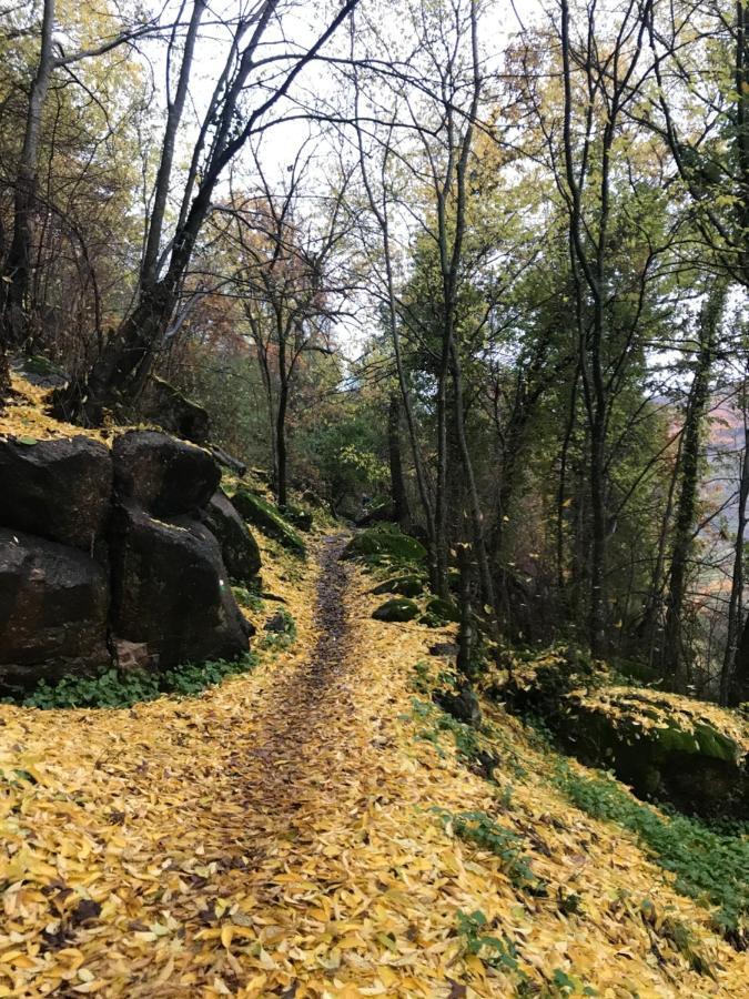La Gargantilla Херте Экстерьер фото